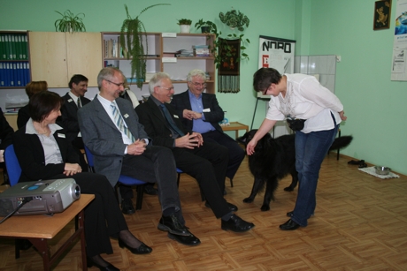 goście 1