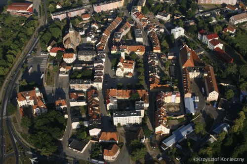 wołów